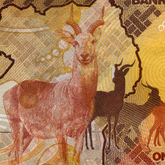 1000 шиллингов 2010 года - Уганда (Pick 49a) UNC