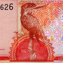 5 даласи 2015 года — Гамбия UNC