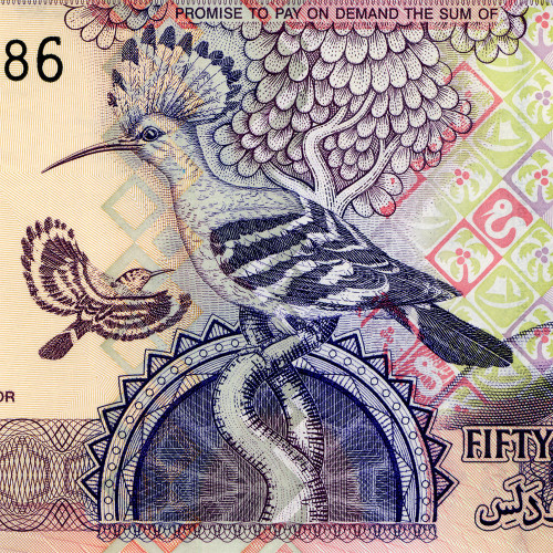 50 даласи 2013 года - Гамбия (Pick 28) UNC