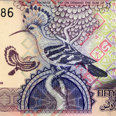50 даласи 2013 года - Гамбия (Pick 28) UNC