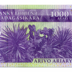 1000 ариари 2004 года - Мадагаскар (Pick 89) UNC
