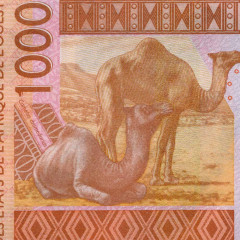 1000 франков 2023 года - Кот-д'Ивуар (Pick 115A) UNC