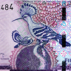 50 даласи 2015 года — Гамбия UNC