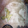 100 квача 2009 года - Замбия (Pick 38) UNC