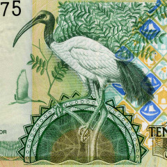10 даласи 2013 года — Гамбия UNC
