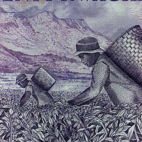 20 квач 2004 года - Малави (Pick 52a) UNC
