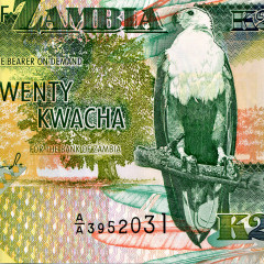 20 квача 1992 года - Замбия (Pick 36) UNC