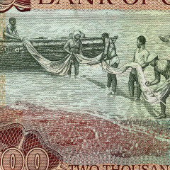 2000 седи 2002-2003 года - Гана (Pick 33) UNC