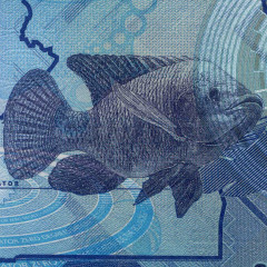 2000 шиллингов 2021 года - Уганда (Pick 50) UNC