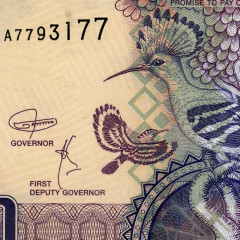 50 даласи 2018 года - Гамбия (Pick 28d) UNC