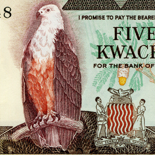 5 квача 1986-1987 гг - Замбия (Pick 25.d) UNC