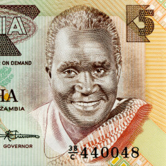 5 квача 1986-1987 гг - Замбия (Pick 25.d) UNC