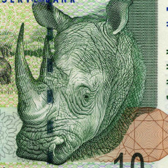 10 рэндов 2005 года - ЮАР (Pick 128.b) UNC