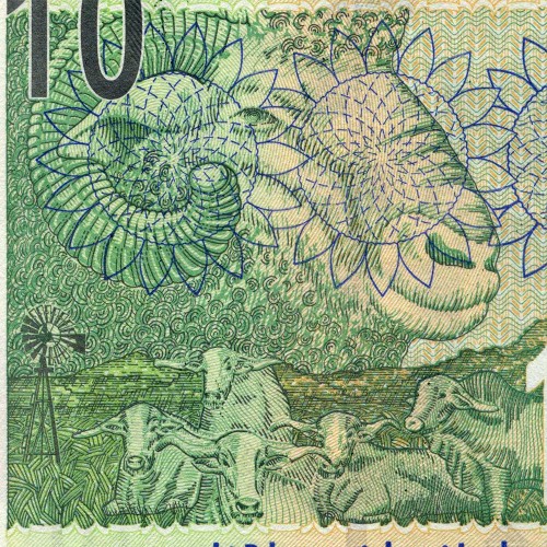 10 рэндов 2005 года - ЮАР (Pick 128.b) UNC