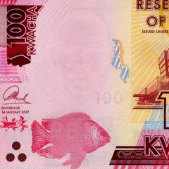 100 квач 2017 года - Малави UNC