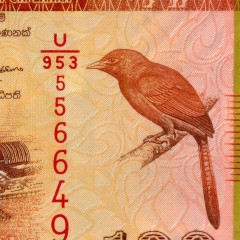 100 рупий 2022 года - Шри-Ланка (Pick 125) UNC