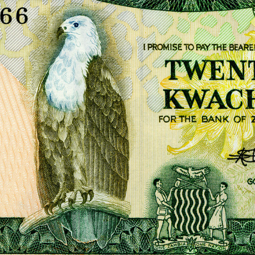 20 квача 1980-1988 гг - Замбия (Pick 27.e) UNC