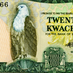 20 квача 1980-1988 гг - Замбия (Pick 27.e) UNC