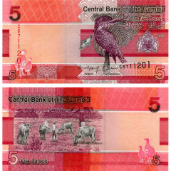 5 даласи 2023 (2024) года - Гамбия (Pick W37) UNC