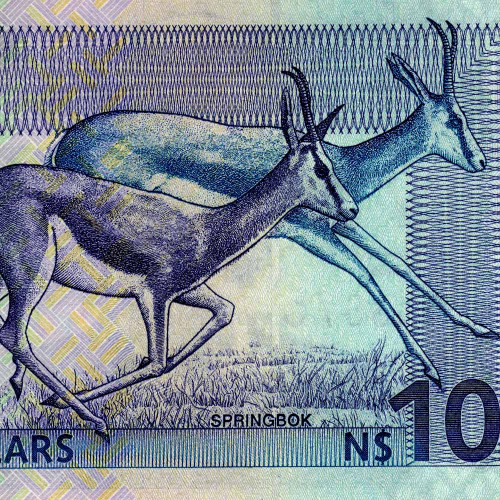 10 долларов 2001 года - Намибия (Pick 4) UNC