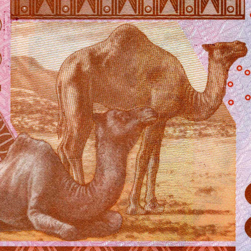 1000 франков 2019 года - Кот-д'Ивуар (Pick 115A) UNC