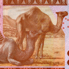 1000 франков 2019 года - Кот-д'Ивуар (Pick 115A) UNC