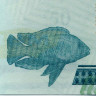 50 квач 2016 года - Малави UNC