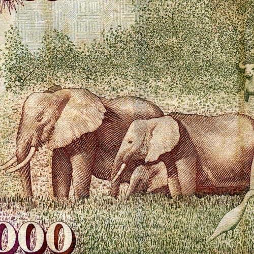 1000 шиллингов 2010 года - Кения (Pick 51е) F-VF