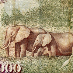 1000 шиллингов 2010 года - Кения (Pick 51е) F-VF