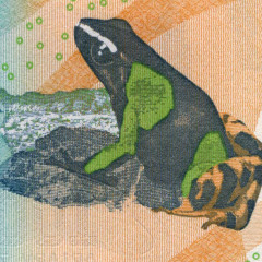 100 ариари 2017 года (2022) - Мадагаскар (Pick 97.b) UNC