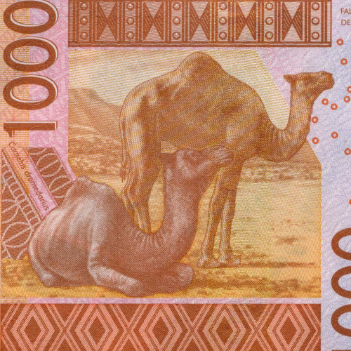 1000 франков 2023 года - Сенегал (Pick 715K) UNC