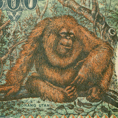 500 рупий 1992-1999 гг - Индонезия (Pick# 128) UNC
