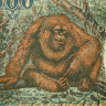 500 рупий 1992-1999 гг - Индонезия (Pick# 128) UNC