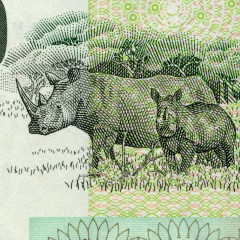 10 рэндов 2005 года - ЮАР (Pick 128.a) UNC
