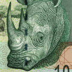 10 рэндов 2005 года - ЮАР (Pick 128.a) UNC
