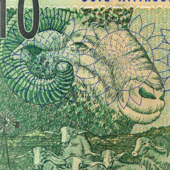 10 рэндов 2005 года - ЮАР (Pick 128.a) UNC