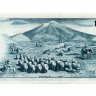 100 крон 1961 года - Исландия (Pick 44) aUNC
