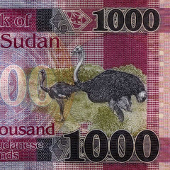 1000 фунтов 2021 года - Южный Судан (Pick W17) UNC
