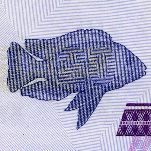 20 квач 2012 года - Малави (Pick 57) UNC