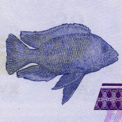 20 квач 2012 года - Малави (Pick 57) UNC