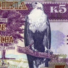 5 квача 2021 года - Замбия (Pick 57) UNC