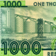 1000 квач 2012-2013 гг - Малави (Pick 62) UNC