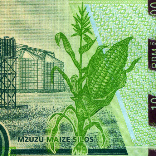 1000 квач 2012-2013 гг - Малави (Pick 62) UNC