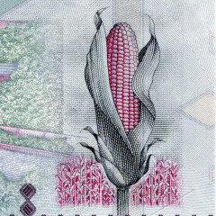 5000 франков 2015 года — Гвинея UNC