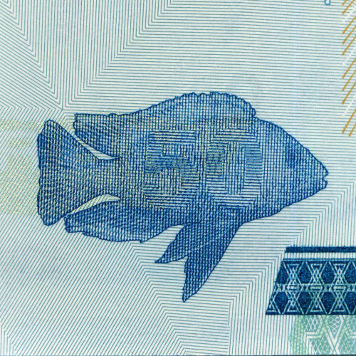 50 квач 2012 года - Малави (Pick 58) UNC
