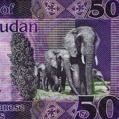 50 фунтов 2019 года - Южный Судан (Pick 14d) UNC