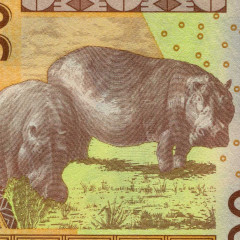 500 франков 2018 года - Гвинея - Бисау (Pick 919S) UNC