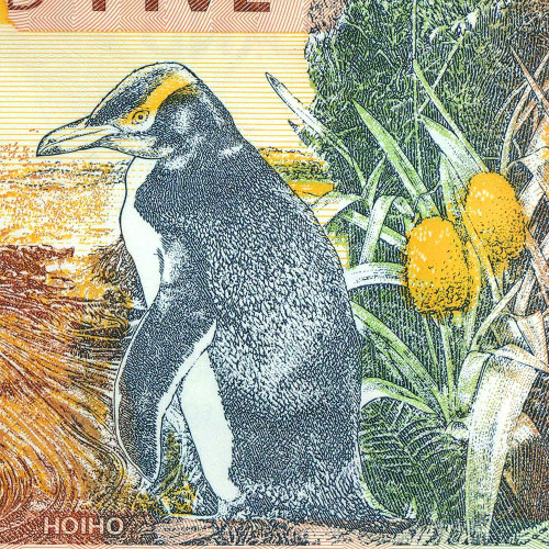 5 долларов 2005 года - Новая Зеландия (Pick 185b) UNC - пластик