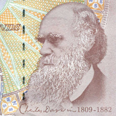 10 фунтов 2000 (2004) года - Великобритания (Pick 389) UNC