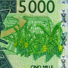 5000 франков 2003 года - Мали (Pick 417D.a) XF